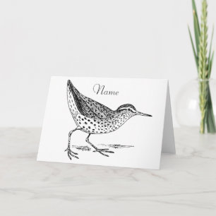 Carte Sandpiper Shorer Thunder_Cove