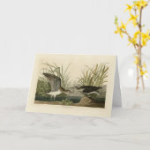 Carte Sandpiper solitaire des oiseaux d'Amérique d'Audub (Fleur jaune)