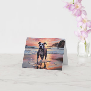 Carte Sandy American Staffordshire Dog on Beach Sunset