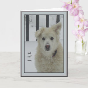 Carte *Sandy Dog - Allez-Vous Bien Bientôt