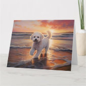 Carte Sandy Paws Bichon Frise Dog sur Beach Sunset (Devant)