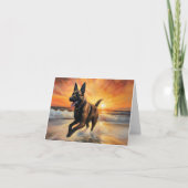 Carte Sandy Paws Chien Malinois Belge sur le coucher du  (Devant)