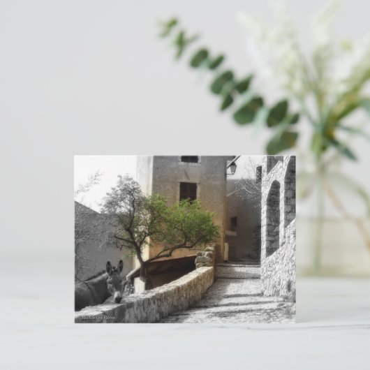 Carte SANT'ANTONINO (Debout devant)