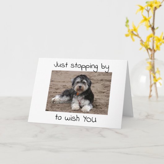 CARTE S'ARRÊTER POUR SOUHAITER À "VOUS" UNE JOLIE NOËL (Fleur jaune)