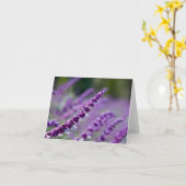 Carte Sauge mexicaine pourpre (Fleur jaune)