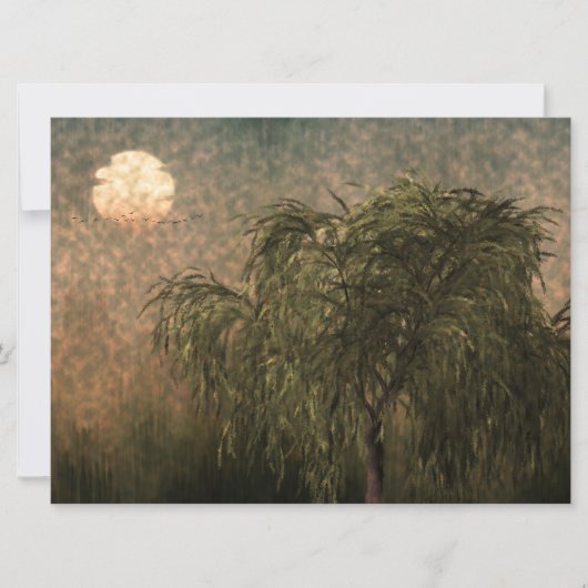 Carte Saule au coucher du soleil (Devant)