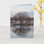 Carte Saule comme arbre du monde (Fleur jaune)