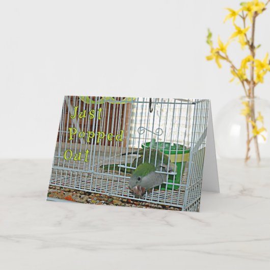 Carte Sauté (Fleur jaune)