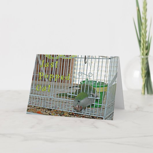 Carte Sauté (Devant)