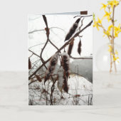 Carte Sauterelle épineuse d'hiver (Fleur jaune)