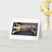 Carte Sauvignon Blanc-Face MillieGram (Fleur jaune)