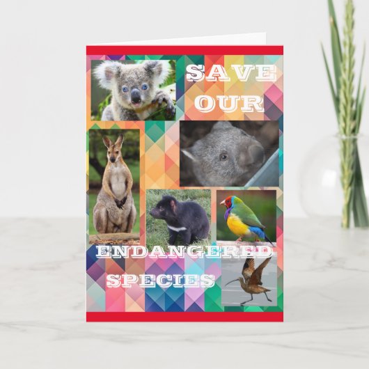 Carte Save Our Endangered Species (Devant)