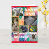 Carte Save Our Endangered Species (Fleur jaune)