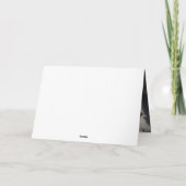 Carte Scandale d'Halloween Schnauzer Miniature (Dos)