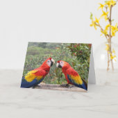 Carte Scarlet Mackaws (Fleur jaune)