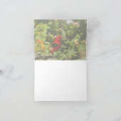 Carte Scarlet Tanager (Intérieur)