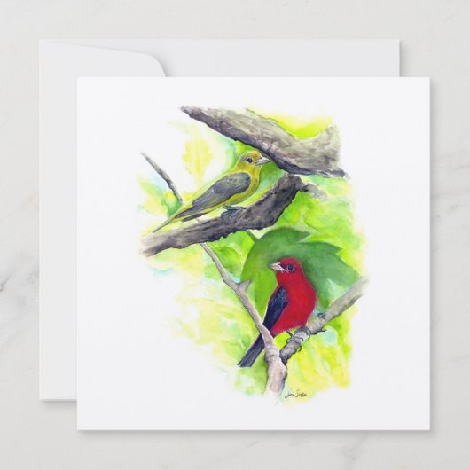 Carte Scarlet Tanager Couple Art (Devant)