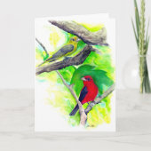 Carte Scarlet Tanagers Oiseaux Aquarelle Peinture (Devant)