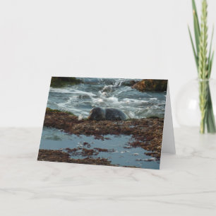 Carte Sceau de port Lit Sunset I à San Diego