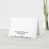 Carte Scène amish de blanchisserie d'hiver (Dos)