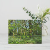 Carte Scène De Bois. Blackweir Woods, Cardiff (Debout devant)