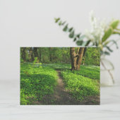 Carte Scène De Bois. Blackweir Woods, Cardiff (Debout devant)