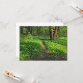 Carte Scène De Bois. Blackweir Woods, Cardiff (Devant/Arrière en situation)