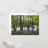 Carte Scène De Bois. Blackweir Woods, Cardiff (Devant/Arrière en situation)