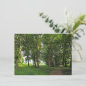 Carte Scène De Bois. Blackweir Woods, Cardiff (Debout devant)