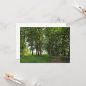 Carte Scène De Bois. Blackweir Woods, Cardiff (Devant/Arrière en situation)