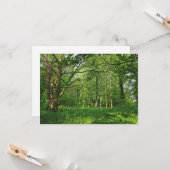 Carte Scène De Bois. Blackweir Woods, Cardiff (Devant/Arrière en situation)