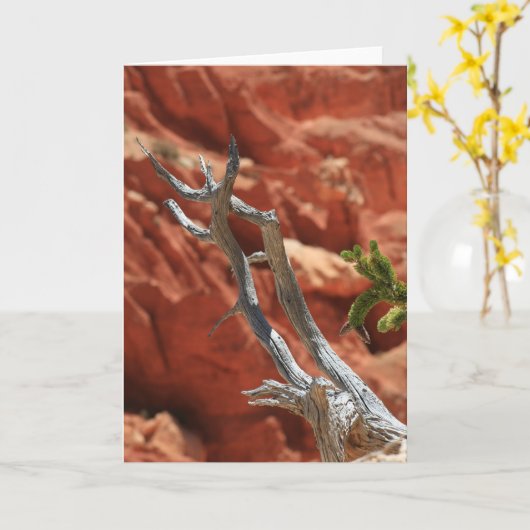 Carte Scène de canyon de Bryce (Fleur jaune)