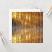 Carte Scène de la forêt de Misty (Devant/Arrière en situation)