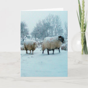 Carte Scène de moutons d'hiver dans la neige personnalis