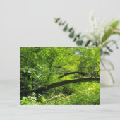 Carte Scène Woodland (Debout devant)