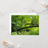 Carte Scène Woodland (Devant/Arrière en situation)