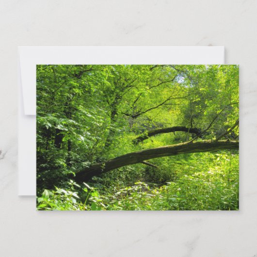 Carte Scène Woodland (Devant)