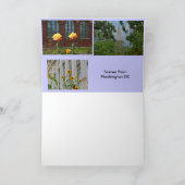 Carte Scènes de Washington DC (Intérieur)