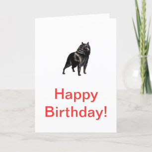 Carte Schipperke