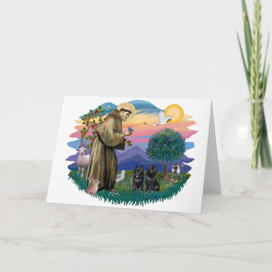 Carte Schipperke (deux) (Devant)