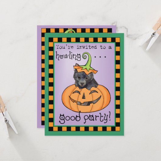 Carte Schipperke Halloween (Devant/Arrière en situation)