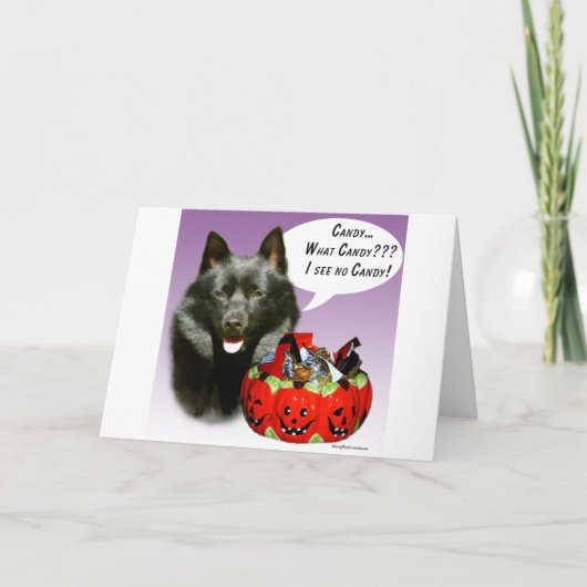 Carte Schipperke Halloween Candy (Devant)