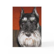 Carte Schnauzer