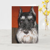 Carte Schnauzer (Fleur jaune)