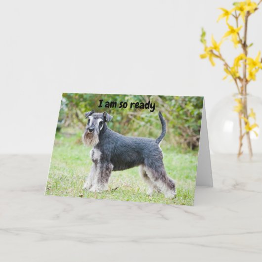 Carte Schnauzer dit "HEUREUX "60ème anniversaire" (Fleur jaune)