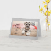 CARTE "SCHNAUZER DIT JEUX ANNIVERSAIRE" (Fleur jaune)