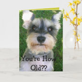 Carte Schnauzer Happy Anniversaire (Fleur jaune)