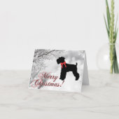 Carte Schnauzer Joyeux Noël (Devant)