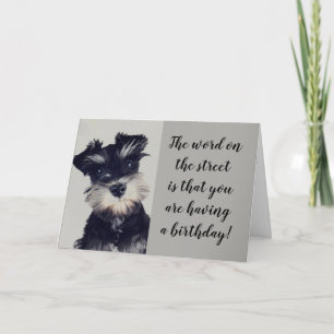 CARTE SCHNAUZER N'ARRIVE PAS À CROIRE LA NOUVELLE **50?*