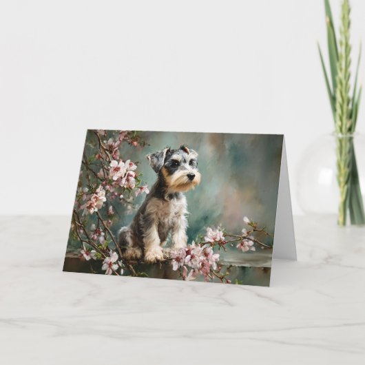 Carte Schnauzer Puppy Among Spring Cherry Blossoms (Devant)